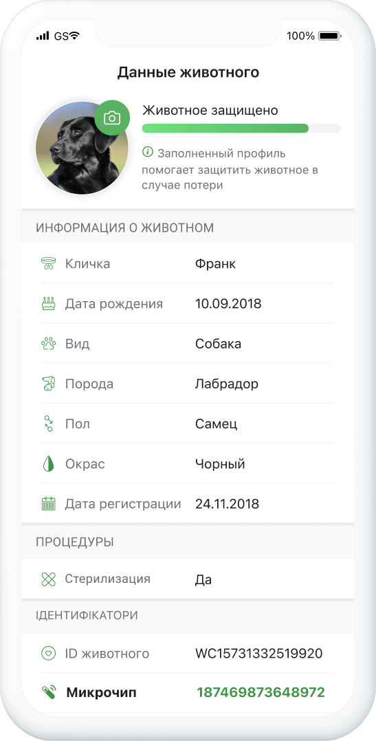 Сайт чипированных животных в россии официальный сайт