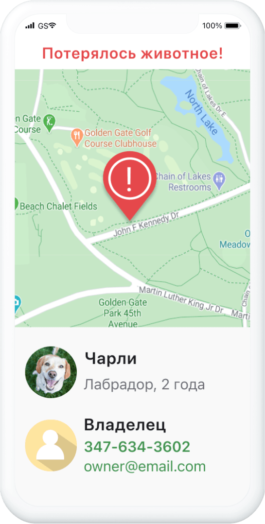 Сайт чипированных животных в россии официальный сайт